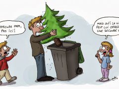 recyclage-des-sapins-de-Noel