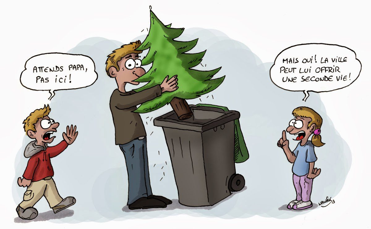 recyclage-des-sapins-de-Noel