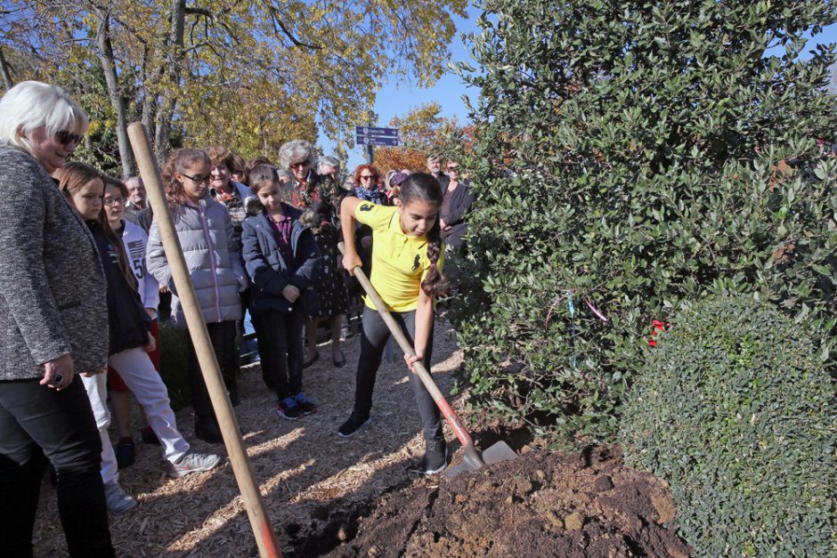 Plantation d'un arbre près de l'hôtel de ville, en hommage à Guy Fischer.