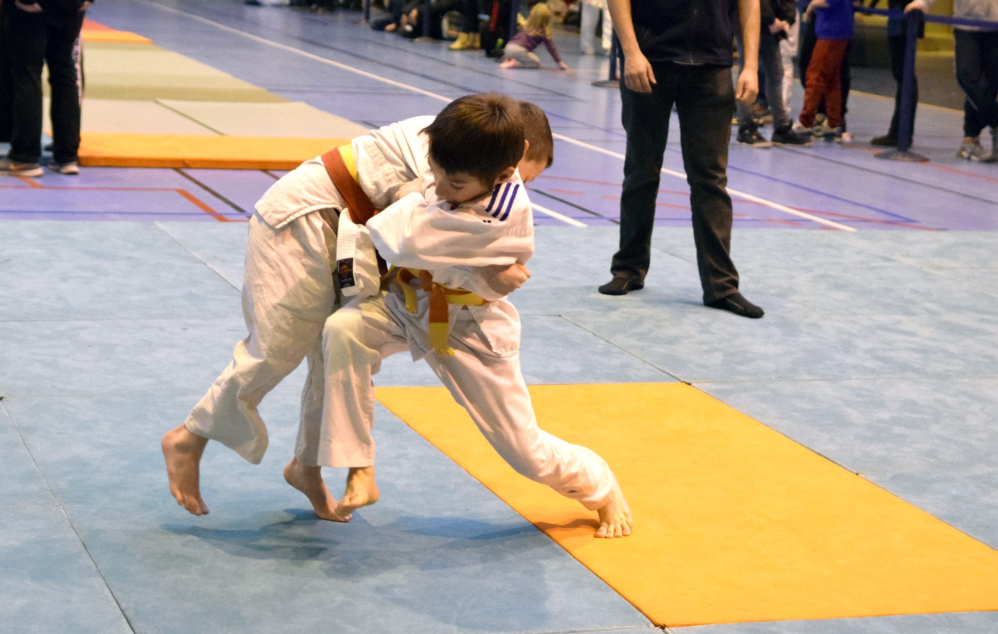 Judo ALVP, jan.2016, competition 2eme tape UFOLEP