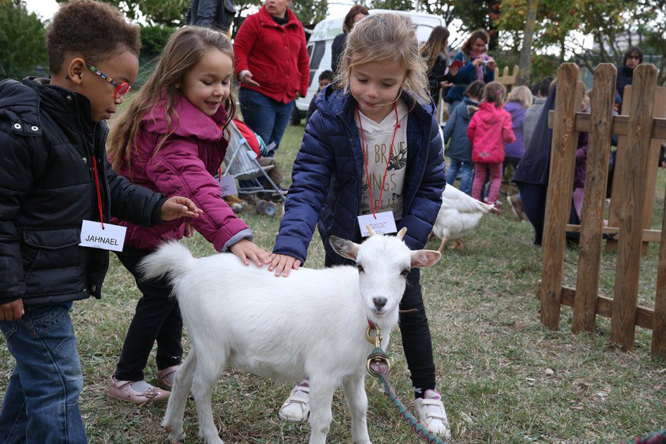 Visite d'élèves de maternelle d'une mini-ferme au Charréard