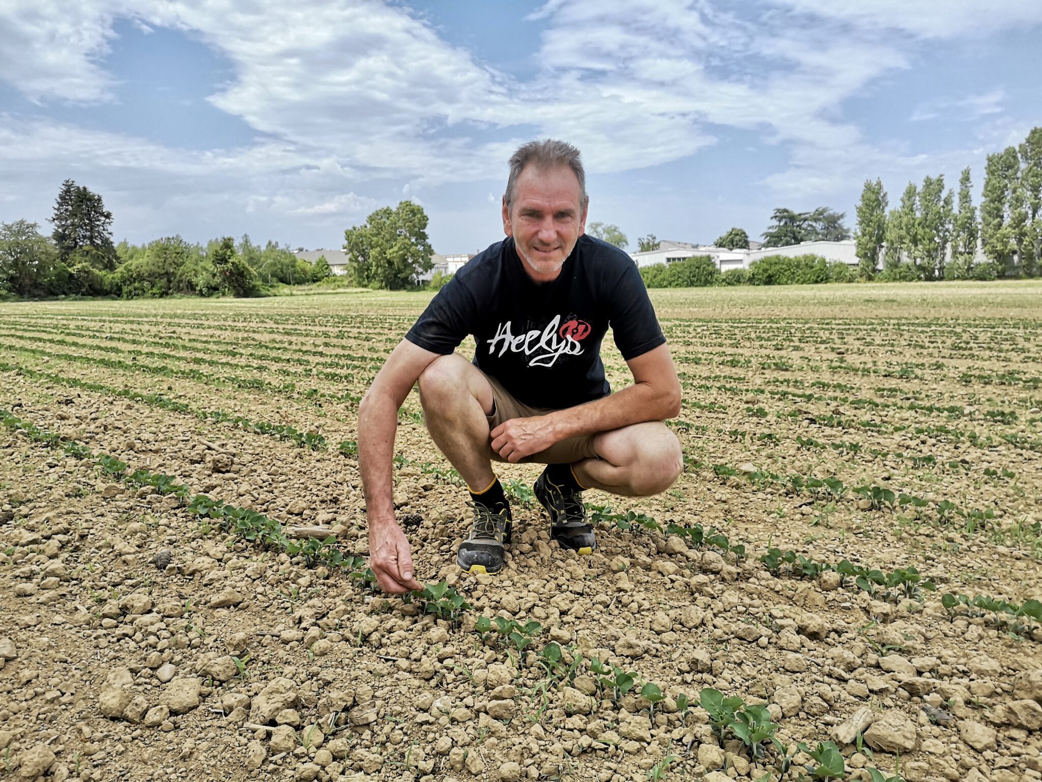Gilles Barioz espère encore sauver sa production de soja